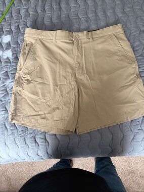 American Eagle Outfitters Tan Flat Front Men's Shorts